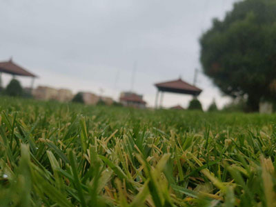 هرگلان